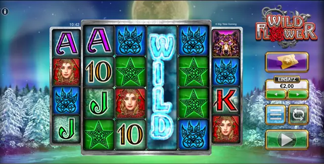 Bild vom Slot Wild Flower